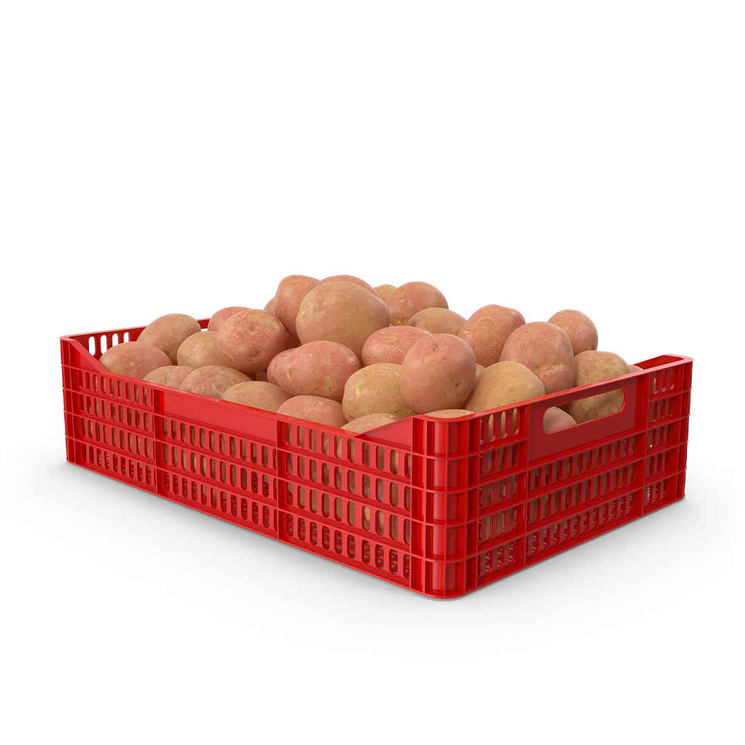 Batata-rena-caixa