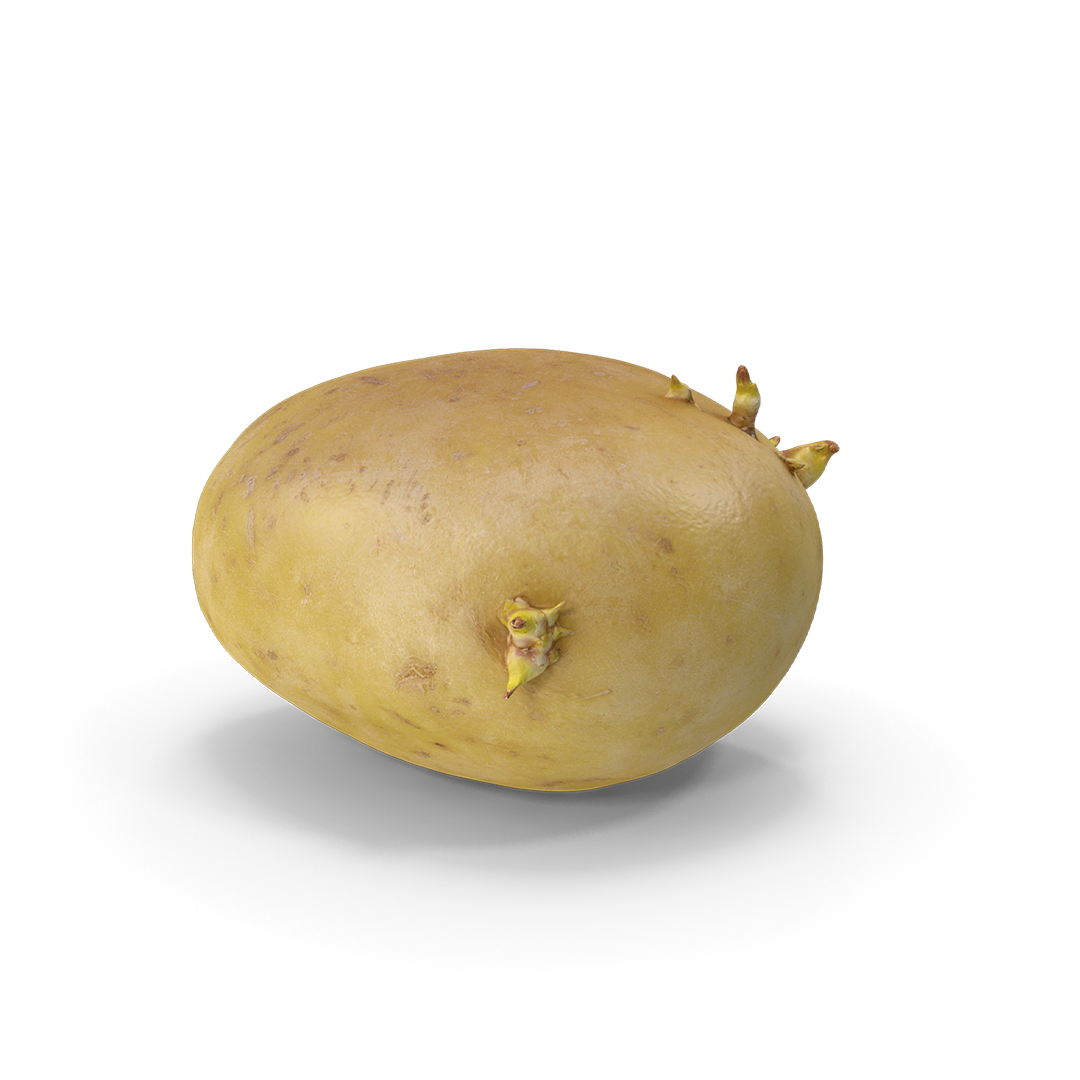 Batata-rena-pro