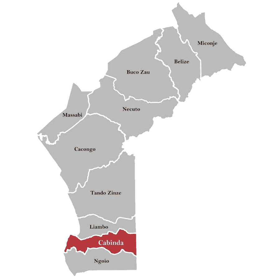 Fazer-Angola-CABINDA